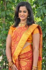 Nanditha (111)_53859501e482c.jpg