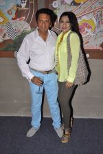 Aarti Surendranath, Kailash Surendranath at Art Guild House launch in Mumbai on 30th May 2014 (35)_53894c878bfcc.JPG