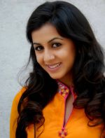  Nikki Galrani Actress Photos Stills Gallery (11)_538b27d5bd643.jpg