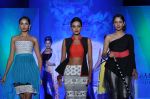 Model at Le Mark fashion show in St Andrews, Mumbai on 31st May 2014 (104)_538a95d902a10.JPG