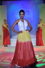 Model at Le Mark fashion show in St Andrews, Mumbai on 31st May 2014 (32)_538a95956b4ec.JPG