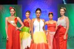 Model at Le Mark fashion show in St Andrews, Mumbai on 31st May 2014 (39)_538a959ceb7df.JPG