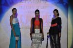 Model at Le Mark fashion show in St Andrews, Mumbai on 31st May 2014 (88)_538a95cf57455.JPG