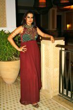 Sona Mohapatra at the Goa Fest 2014 on 30th May 2014 (2)_538a955b72f8c.jpg
