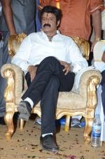 at Happy Birthday Balayya celebration by All India NBK Fans on 10th June 2014 at Happy Birthday Balayya celebration by All India NBK Fans on 10th June 2014 (241)_539945d659379.jpg