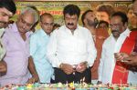 at Happy Birthday Balayya celebration by All India NBK Fans on 10th June 2014 (37)_53994576da3c6.jpg