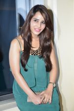 at RK Excellence Awards in NSCI, Mumbai on 22nd June 2014 (19)_53a831e36290f.JPG