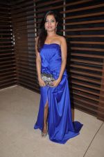 at RK Excellence Awards in NSCI, Mumbai on 22nd June 2014 (33)_53a830d93b054.JPG