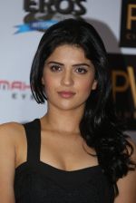 Deeksha Seth at Lekar Hum Deewana Dil movie press meet in Hyderabad on 27th June 2014  (41)_53ae729fb4c6f.jpg