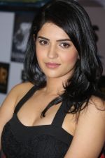 Deeksha Seth at Lekar Hum Deewana Dil movie press meet in Hyderabad on 27th June 2014  (53)_53ae72a7ef327.jpg