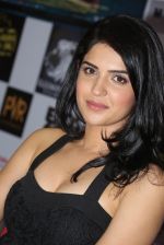 Deeksha Seth at Lekar Hum Deewana Dil movie press meet in Hyderabad on 27th June 2014  (62)_53ae72aed2afe.jpg