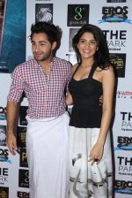 Deeksha Seth, Armaan Jain at Lekar Hum Deewana Dil movie press meet in Hyderabad on 27th June 2014 (111)_53ae73149de57.jpg