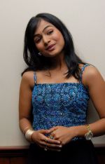 Kalyani Telugu Actress Photos (34)_53b1273352a52.jpg
