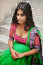 Mithuna Waliya (9)_53b126db24b95.jpg