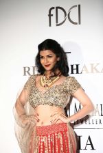 Nimrat Kaur for Rina Dhaka at IIJW 2014 in Grand Hyatt, Mumbai on 16th July 2014 (8)_53c801309f63d.jpg