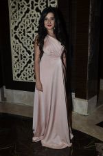 Amy Billimoria at Gitanjali Bollywood night in Palladium, Mumbai on 19th July 2014 (254)_53cc01e66bfee.JPG