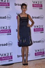 at Vogue Beauty Awards in Mumbai on 22nd July 2014 (37)_53cf7523158ea.JPG