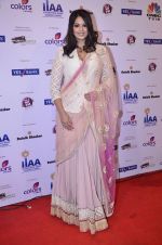 at IIAA Awards in Filmcity, Mumbai on 27th July 2014 (21)_53d613c2ad16c.JPG
