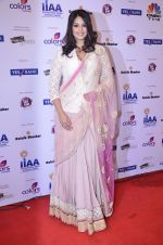 at IIAA Awards in Filmcity, Mumbai on 27th July 2014 (22)_53d613c3464b3.JPG