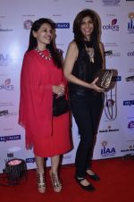 at IIAA Awards in Filmcity, Mumbai on 27th July 2014 (26)_53d613c58af22.JPG