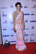 at IIAA Awards in Filmcity, Mumbai on 27th July 2014 (39)_53d613c7de95c.JPG