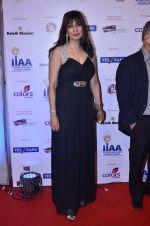 at IIAA Awards in Filmcity, Mumbai on 27th July 2014 (61)_53d613d9a9e22.JPG