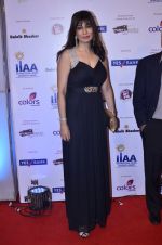 at IIAA Awards in Filmcity, Mumbai on 27th July 2014 (62)_53d613da745b7.JPG