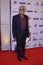 at IIAA Awards in Filmcity, Mumbai on 27th July 2014 (8)_53d613bee9c8a.JPG