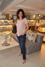 Sushma Reddy at Houseproud.in hosts popup shop in The White Window on 31st July 2014 (97)_53db7fe5ae87c.JPG