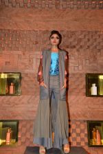 at Absolut Elyx & Anushka Rajan_s fashion preview in Mumbai on 31st July 2014 (39)_53db871ba5218.JPG