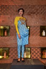 at Absolut Elyx & Anushka Rajan_s fashion preview in Mumbai on 31st July 2014 (93)_53db874e3cf60.JPG