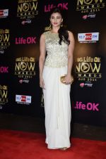 Daisy Shah at Life Ok Now Awards in Mumbai on 3rd Aug 2014 (495)_53df44ab7326b.JPG