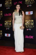 Daisy Shah at Life Ok Now Awards in Mumbai on 3rd Aug 2014 (498)_53df44b20a095.JPG