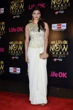 Daisy Shah at Life Ok Now Awards in Mumbai on 3rd Aug 2014 (501)_53df44b6e8719.JPG
