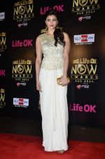 Daisy Shah at Life Ok Now Awards in Mumbai on 3rd Aug 2014 (504)_53df44bcbbf66.JPG