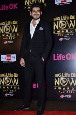 Mohit Marwah at Life Ok Now Awards in Mumbai on 3rd Aug 2014 (226)_53df46d06a2a0.JPG