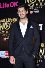 Mohit Marwah at Life Ok Now Awards in Mumbai on 3rd Aug 2014 (233)_53df46dd24a1a.JPG