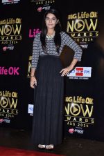 Pooja Gaur at Life Ok Now Awards in Mumbai on 3rd Aug 2014 (20)_53df46e733c5f.JPG