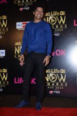 Shaan at Life Ok Now Awards in Mumbai on 3rd Aug 2014 (351)_53df47d83dce4.JPG