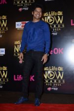 Shaan at Life Ok Now Awards in Mumbai on 3rd Aug 2014 (352)_53df47d9bec97.JPG