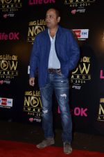 Vipul Shah at Life Ok Now Awards in Mumbai on 3rd Aug 2014 (9)_53df486ce679f.JPG