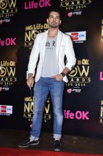 at Life Ok Now Awards in Mumbai on 3rd Aug 2014 (466)_53df43bd7e00a.JPG