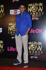 at Life Ok Now Awards in Mumbai on 3rd Aug 2014 (498)_53df43dc8c9f4.JPG