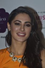 Nargis Fakhri at Portico collection launch in Olive on 4th Aug 2014 (95)_53e1c8433b190.JPG