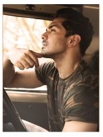 Abhinav Shukla_s debut film Roar (18)_53e9dafb507f7.jpg