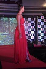 Model on ramp to promote Creature 3d film in R City Mall, Mumbai on 12th Aug 2014 (496)_53eb6f74a5278.JPG