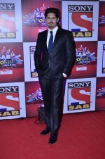 Vishal Malhotra at SAB Ke anokhe awards in Filmcity on 12th Aug 2014 (309)_53eb69282e286.JPG