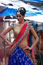 at Rohit Verma_s his newest collection Vrindavan on 14th Aug 2014 (15)_53ede0d3b872a.JPG
