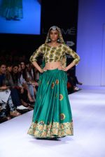 Model walk the ramp for Surendry at Lakme Fashion Week Winter Festive 2014 Day 2 on 20th Aug 2014  (93)_53f482b94720a.JPG