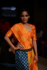 Model walk the ramp for Swati Vijaygarge at Lakme Fashion Week Winter Festive 2014 Day 3 on 21st Aug 2014 (54)_53f7426b6a4de.JPG